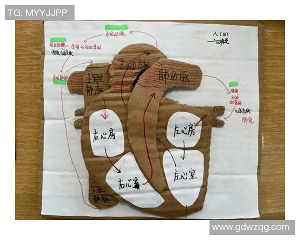 全面解析体育课程标准学习内容与实施策略的创新探索