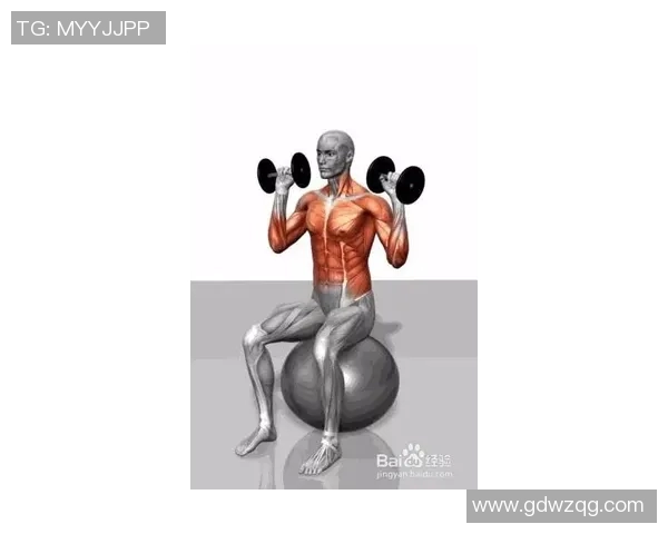 健身器材哑铃价格分析及选购指南助你找到最适合的健身装备