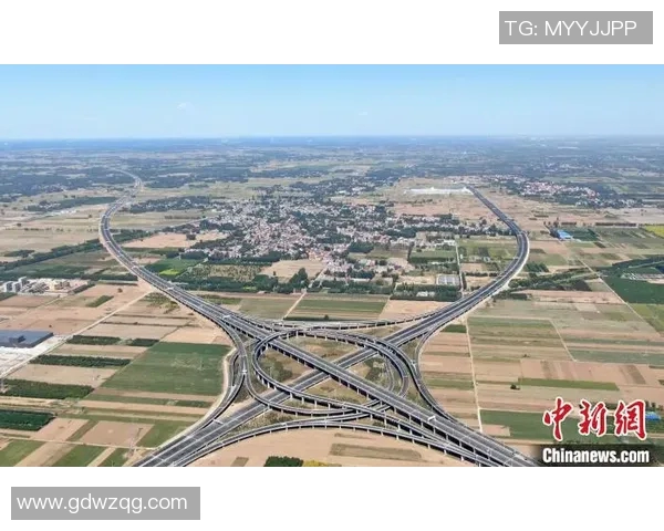 平舆篮球明星的崛起之路与未来发展展望