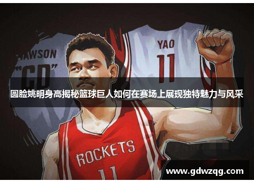 圆脸姚明身高揭秘篮球巨人如何在赛场上展现独特魅力与风采