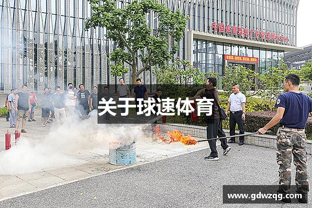 关于球速体育